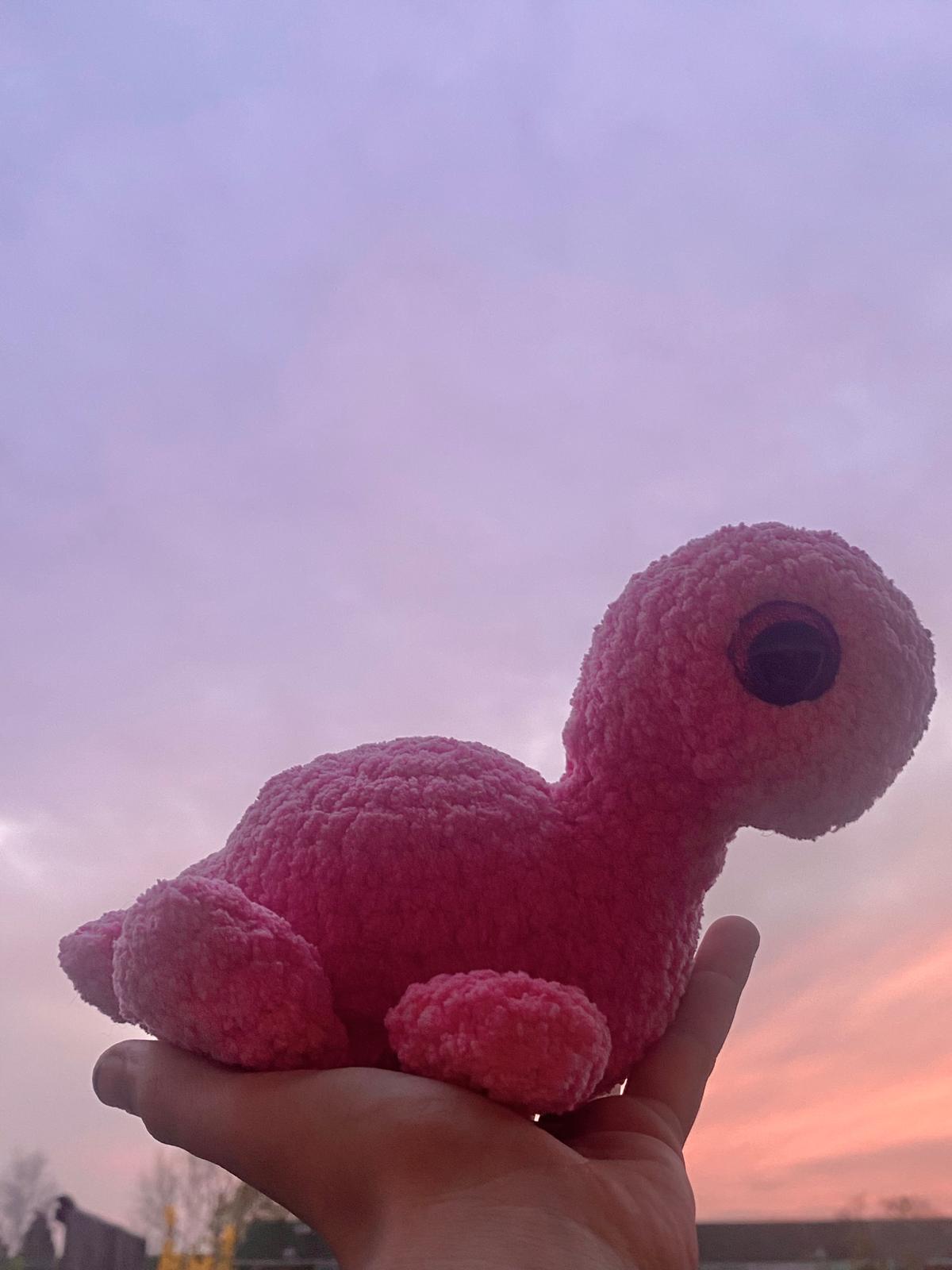Pink Turtle
